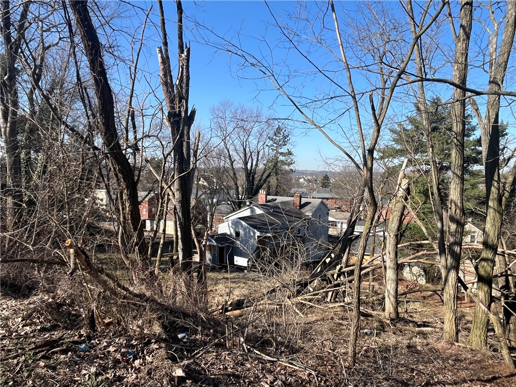 Bellevue, Pennsylvania 15202, United States, ,Residential,Active,89349