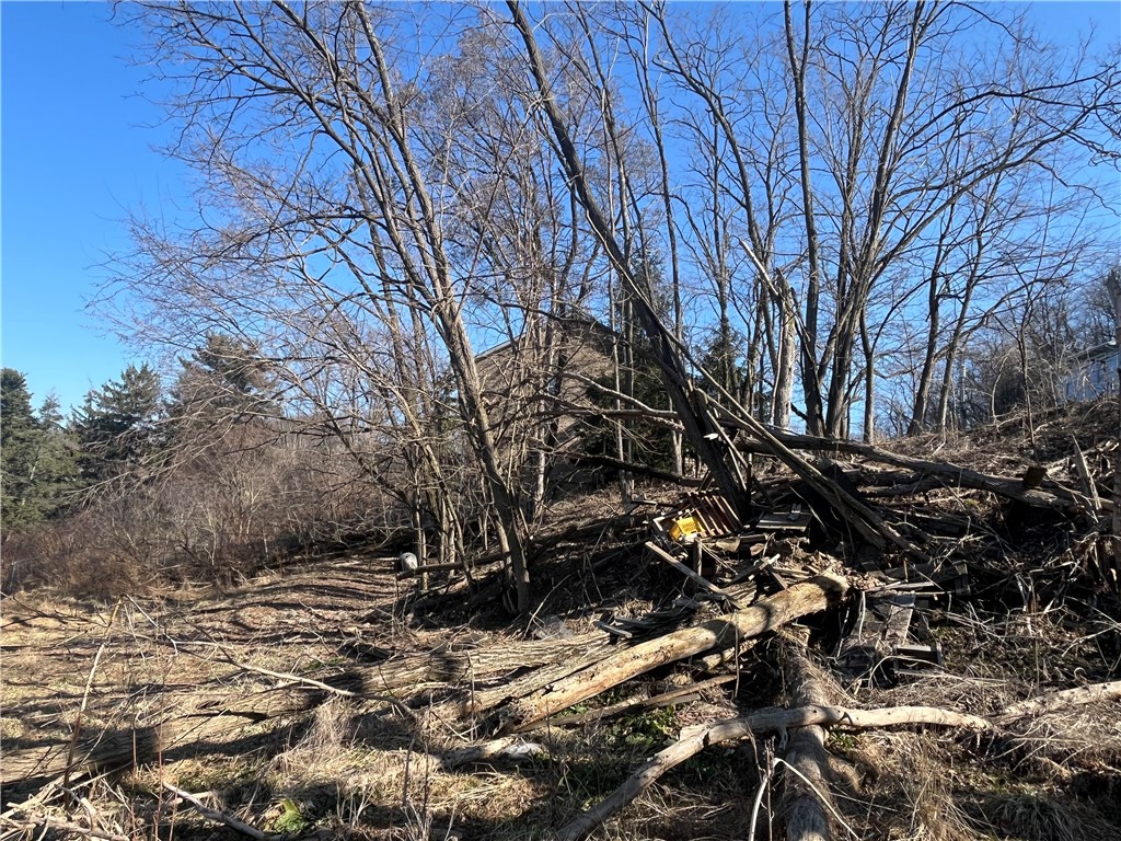 Bellevue, Pennsylvania 15202, United States, ,Residential,Active,89349