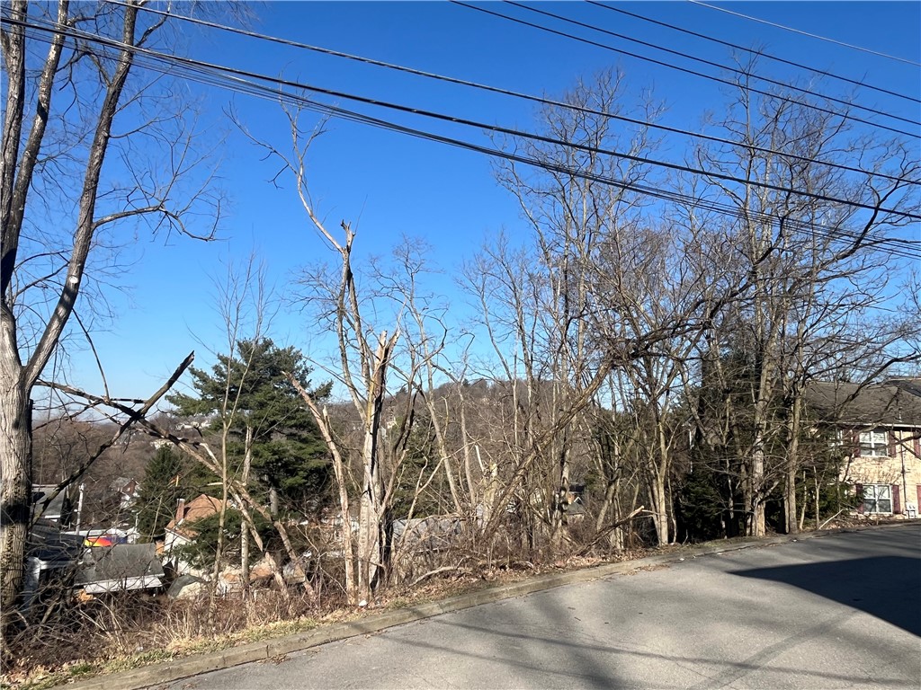 Bellevue, Pennsylvania 15202, United States, ,Residential,Active,89349