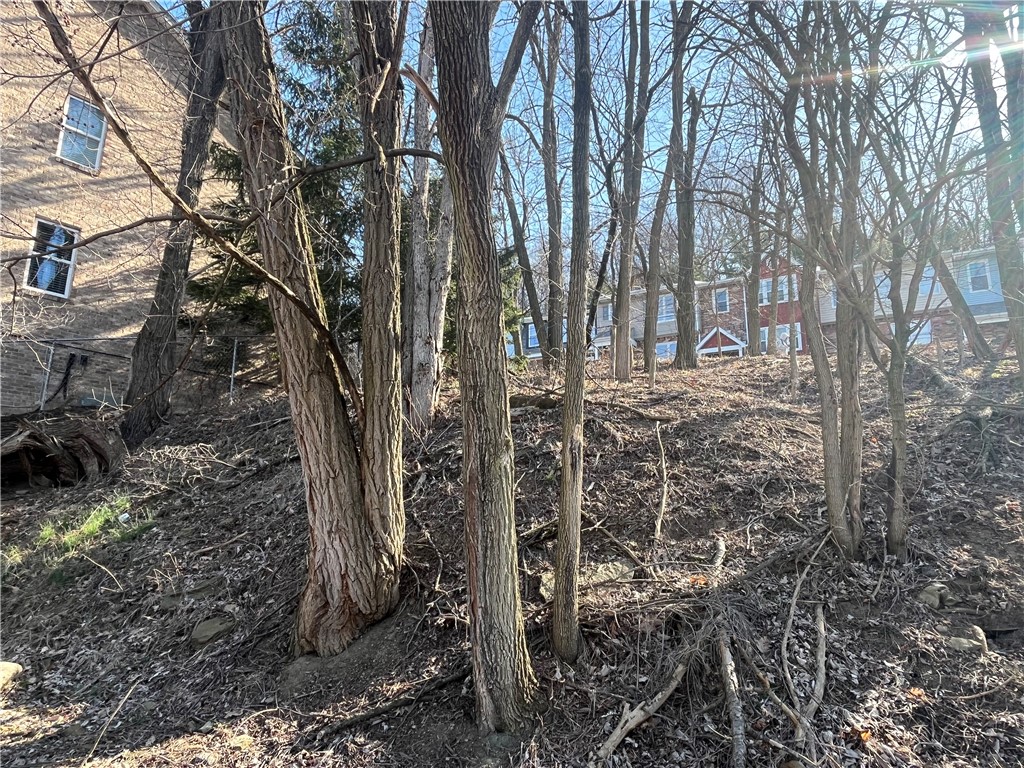 Bellevue, Pennsylvania 15202, United States, ,Residential,Active,89349