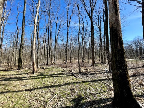 Photo for 13 14 15 16 Laurel Summit Rd.