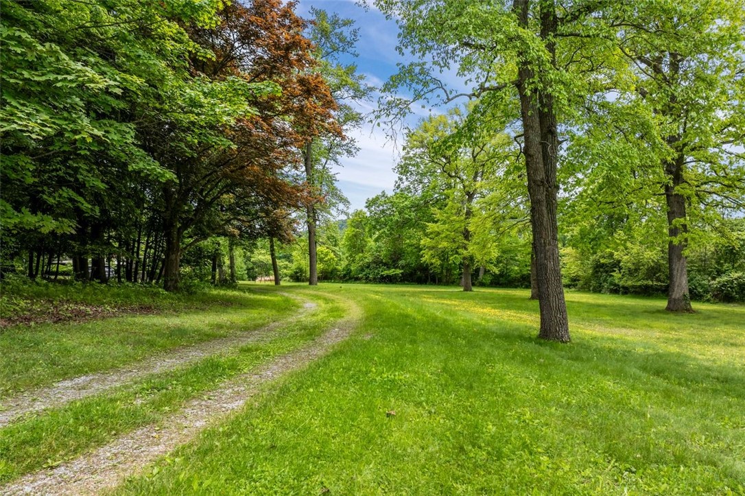 388 Cottage Hill Road Rd, New Bethlehem, Pennsylvania image 14