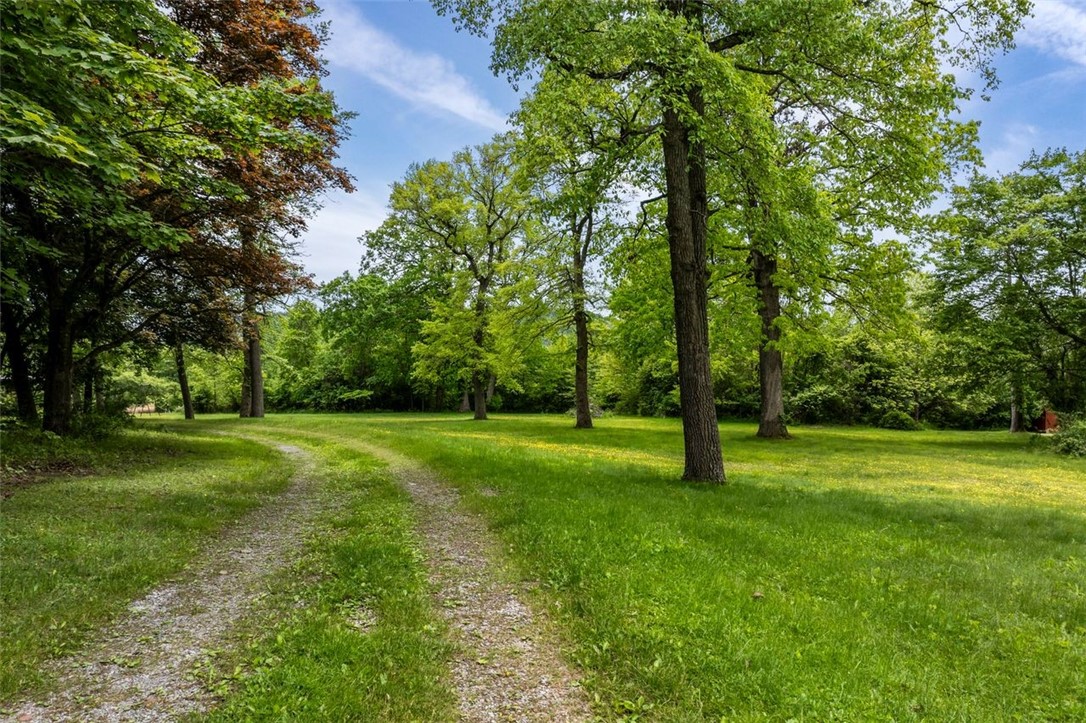 388 Cottage Hill Road Rd, New Bethlehem, Pennsylvania image 13