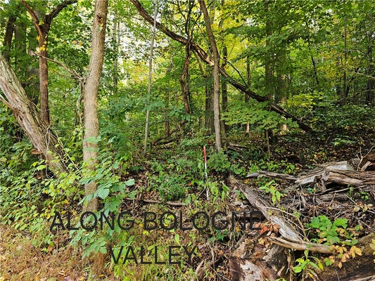 BOLOGNE VALLEY RD, BEAVER FALLS, PA 15010 - Image 2b4d56e30b84ac20dc00611bdc1aa844/56586479