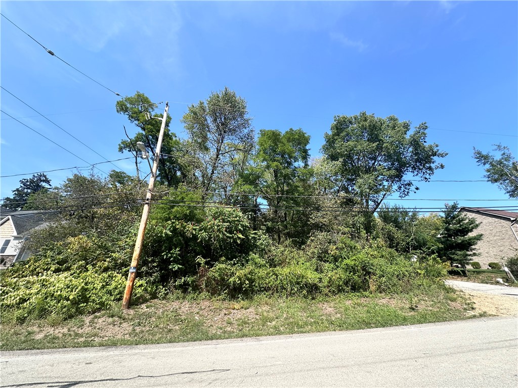 Brookline, Pennsylvania 15226, United States, ,Residential,Active,41933