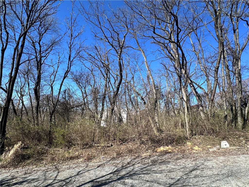 Brookline, Pennsylvania 15226, United States, ,Residential,Active,41933