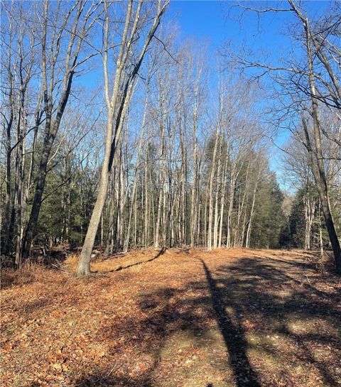 Photo of 0 Mason Dixon Hwy, Salisbury, PA 15558 (MLS # 1736136)