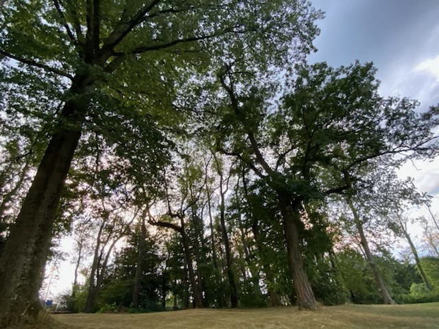 Upper St. Clair, Pennsylvania 15241, United States, 4 Bedrooms Bedrooms, ,3 BathroomsBathrooms,Residential,Active,85154