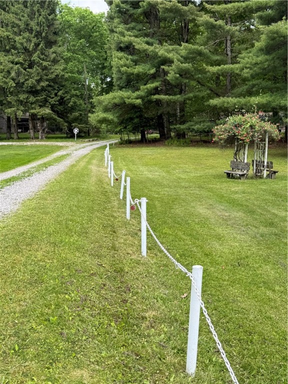 71 Cougar Ln Ln, Leeper, Pennsylvania image 21