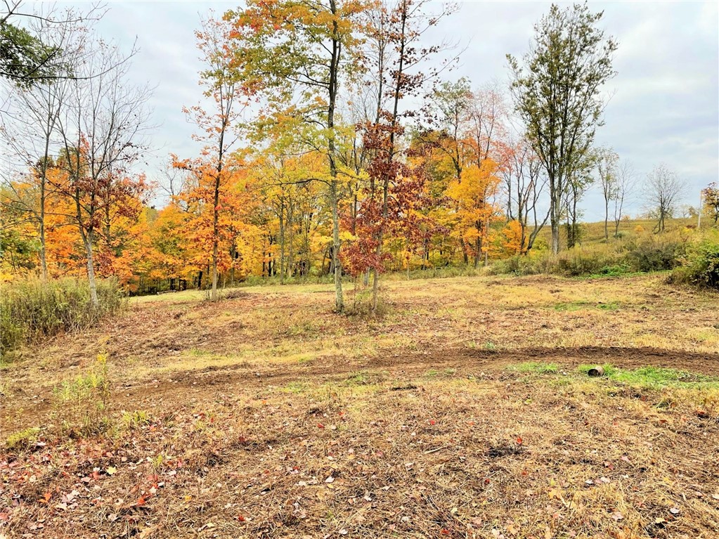 Photo 17 of 24 of 0 CUMER ROAD land