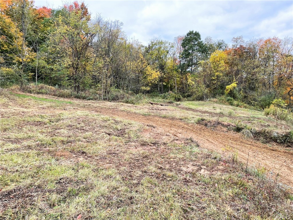 Photo 22 of 24 of 0 CUMER ROAD land