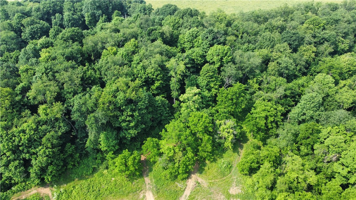 Photo 8 of 24 of 0 CUMER ROAD land