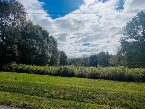Photo for 185 Hopper Rd
