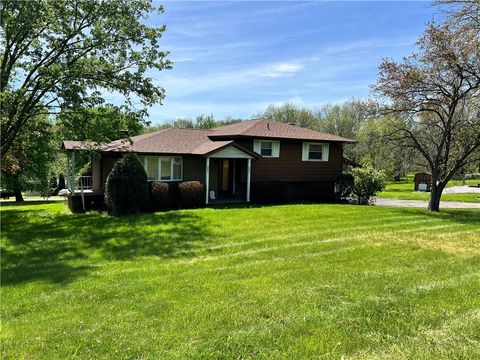Photo of 880 Pizza Barn Rd, Blairsville, PA 15717 (MLS # 1751169)