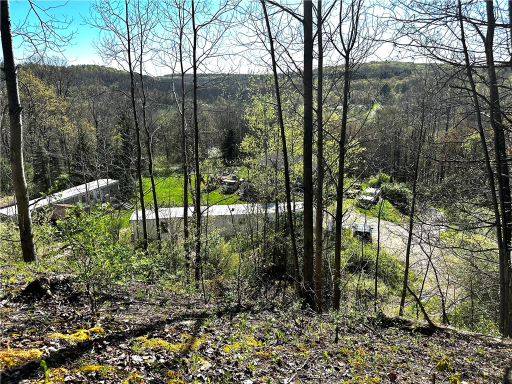 Cherry Twp, Pennsylvania 16061, United States, 5 Bedrooms Bedrooms, ,2 BathroomsBathrooms,Residential,Active,123967
