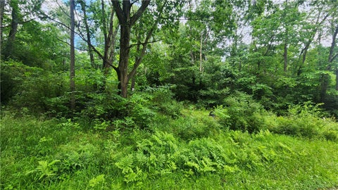 Photo for 151 Heasley Hollow Road