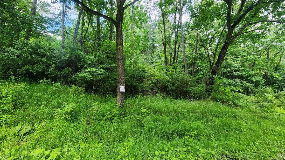151 Heasley Hollow Road