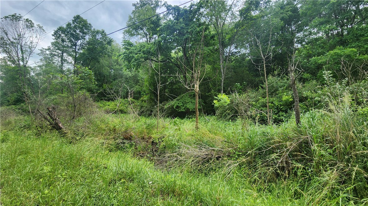 151 Heasley Hollow Road