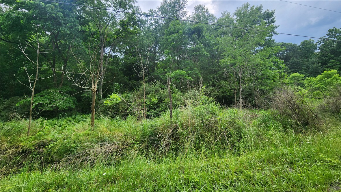 151 Heasley Hollow Road