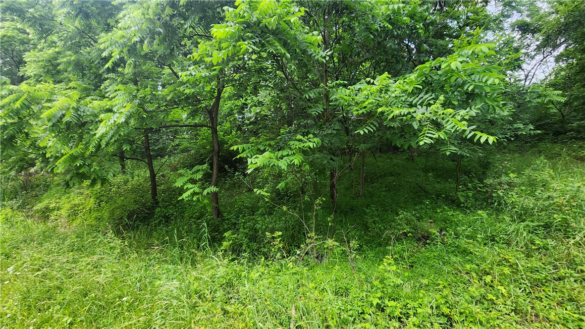 151 Heasley Hollow Road