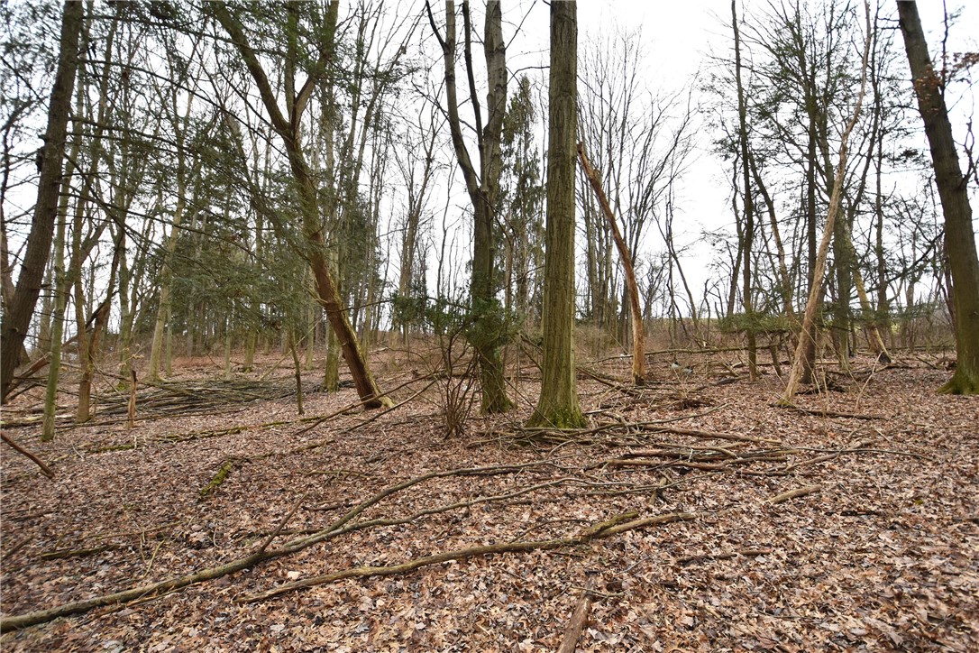 469 Mccormick Rd Rd, Moon/Crescent Twp, Pennsylvania image 31
