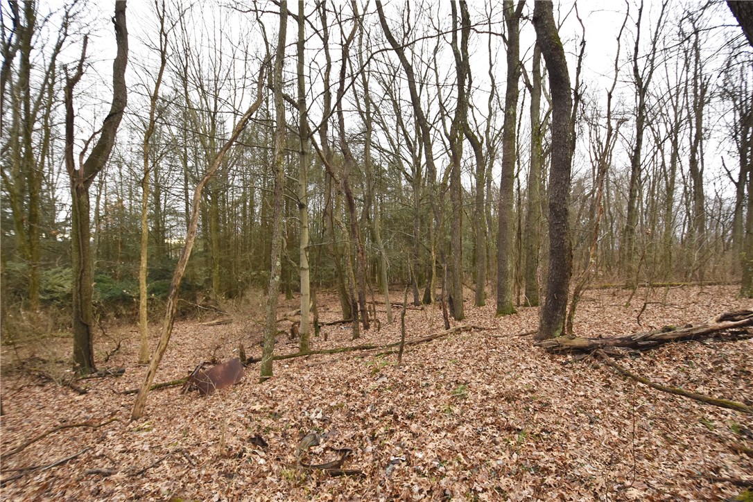 469 Mccormick Rd Rd, Moon/Crescent Twp, Pennsylvania image 28