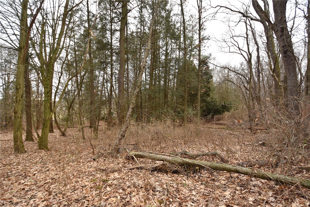 469 Mccormick Rd Rd, Moon/Crescent Twp, Pennsylvania image 26