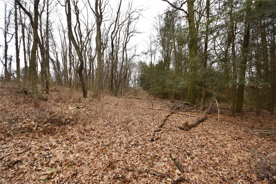 469 Mccormick Rd Rd, Moon/Crescent Twp, Pennsylvania image 30