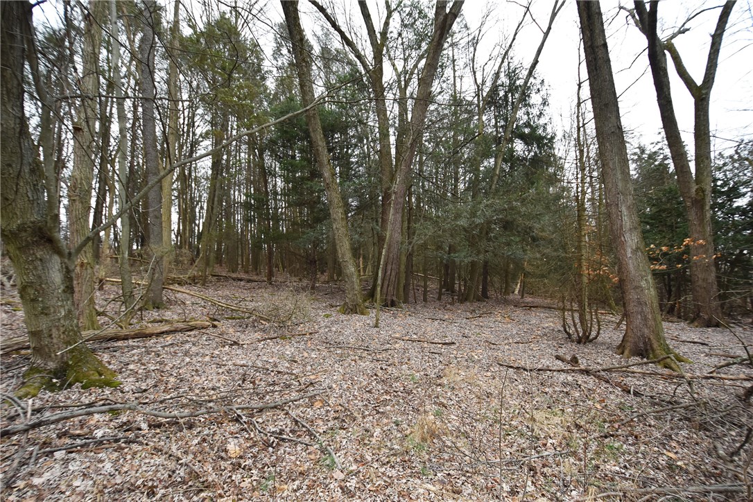 469 Mccormick Rd Rd, Moon/Crescent Twp, Pennsylvania image 33