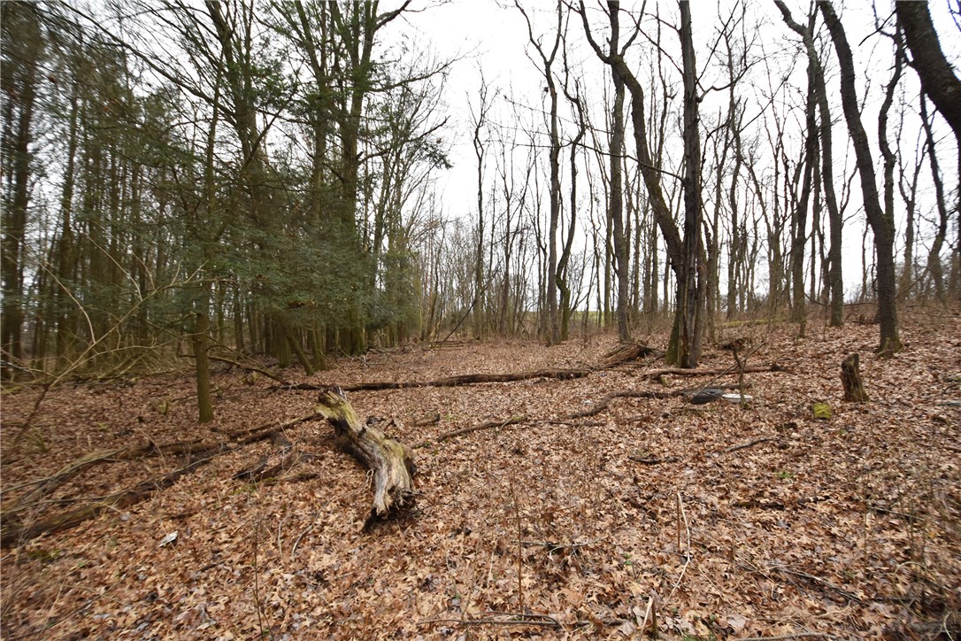 469 Mccormick Rd Rd, Moon/Crescent Twp, Pennsylvania image 29