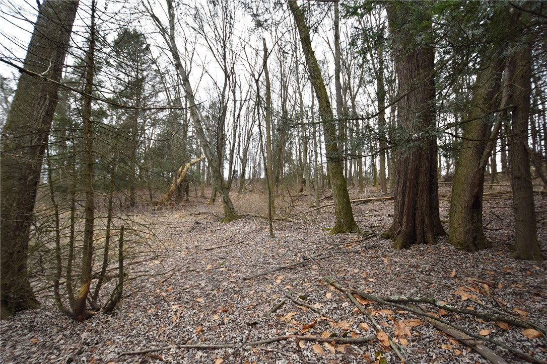 469 Mccormick Rd Rd, Moon/Crescent Twp, Pennsylvania image 34