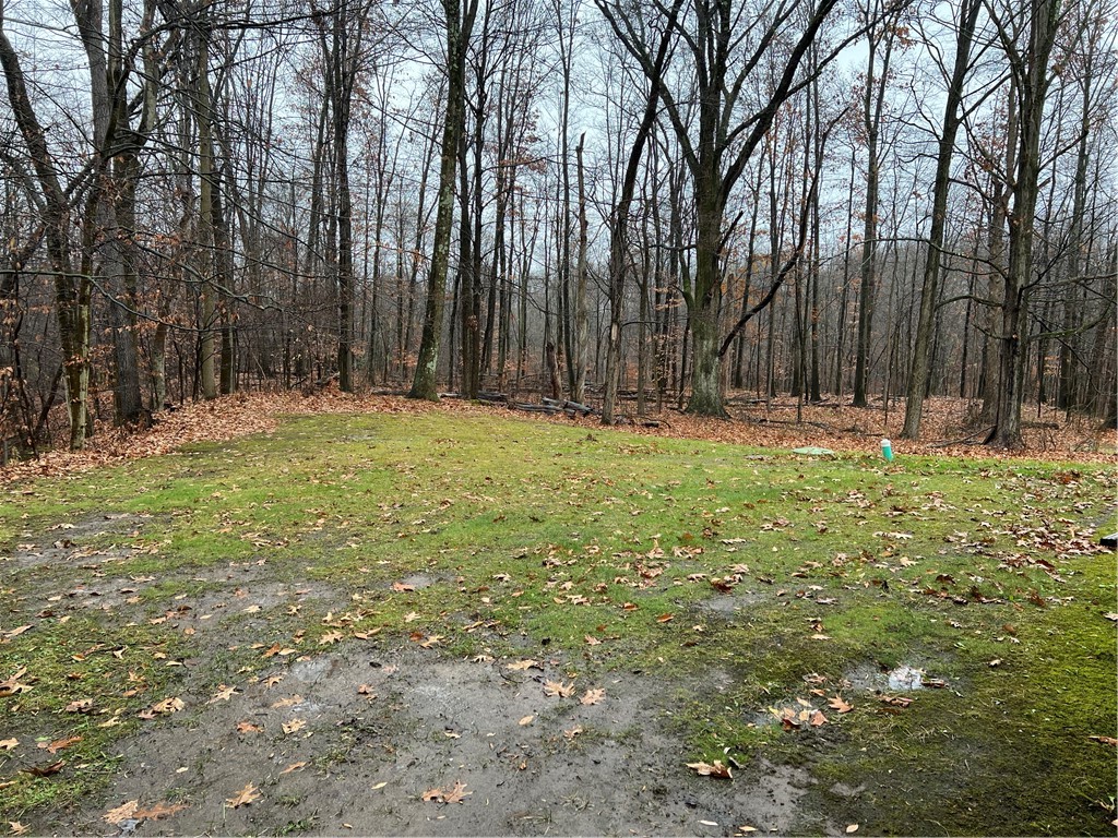 467 Blews Way Way, Neshannock Twp, Kentucky image 4