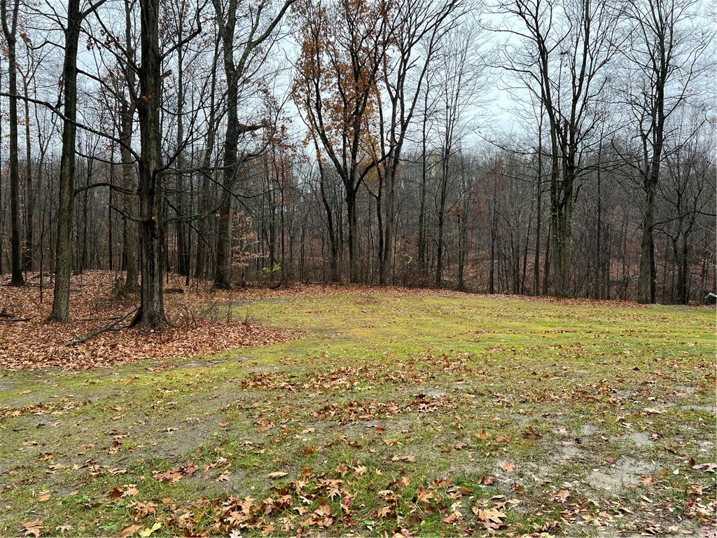 467 Blews Way Way, Neshannock Twp, Kentucky image 3