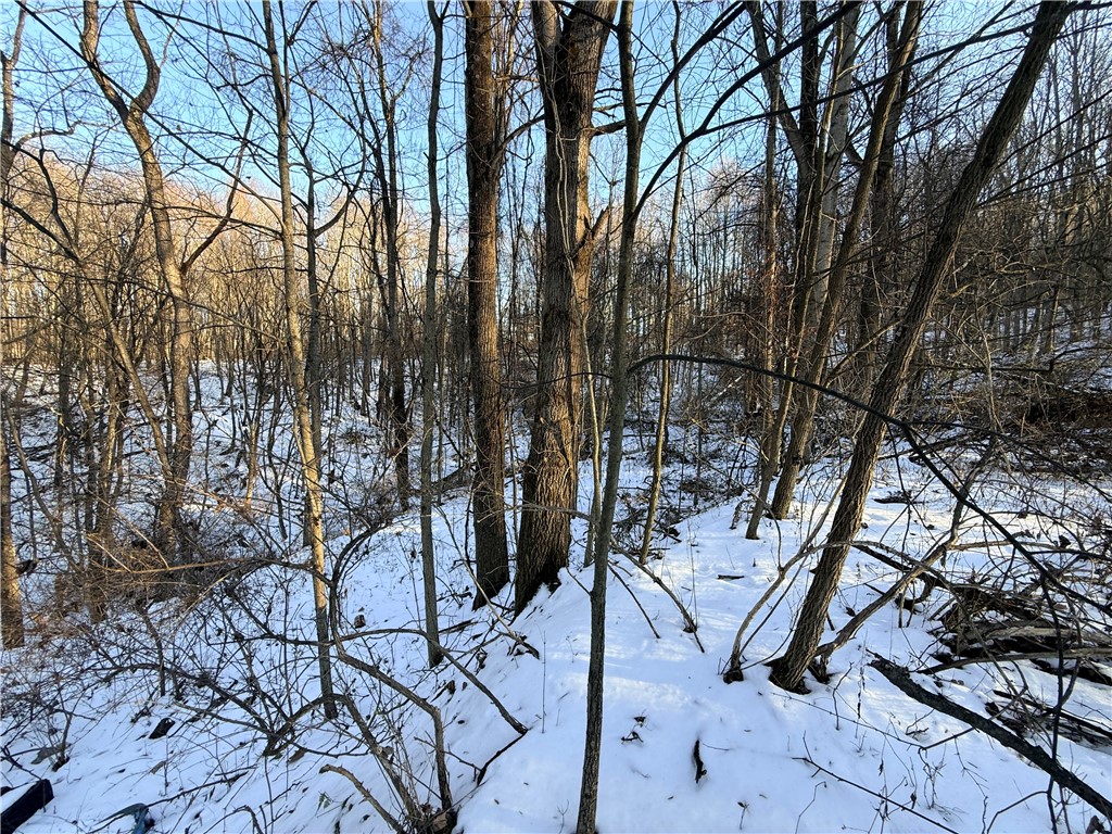 Shelocta, Pennsylvania 15774, United States, ,Residential,Active,257083