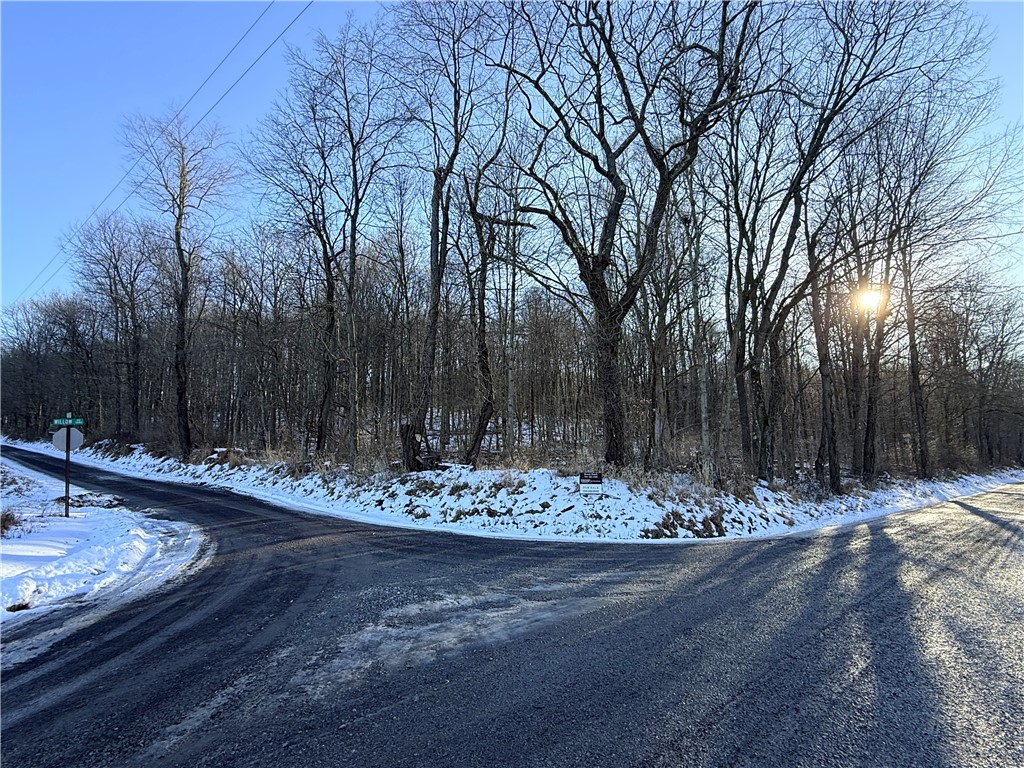 Shelocta, Pennsylvania 15774, United States, ,Residential,Active,257083