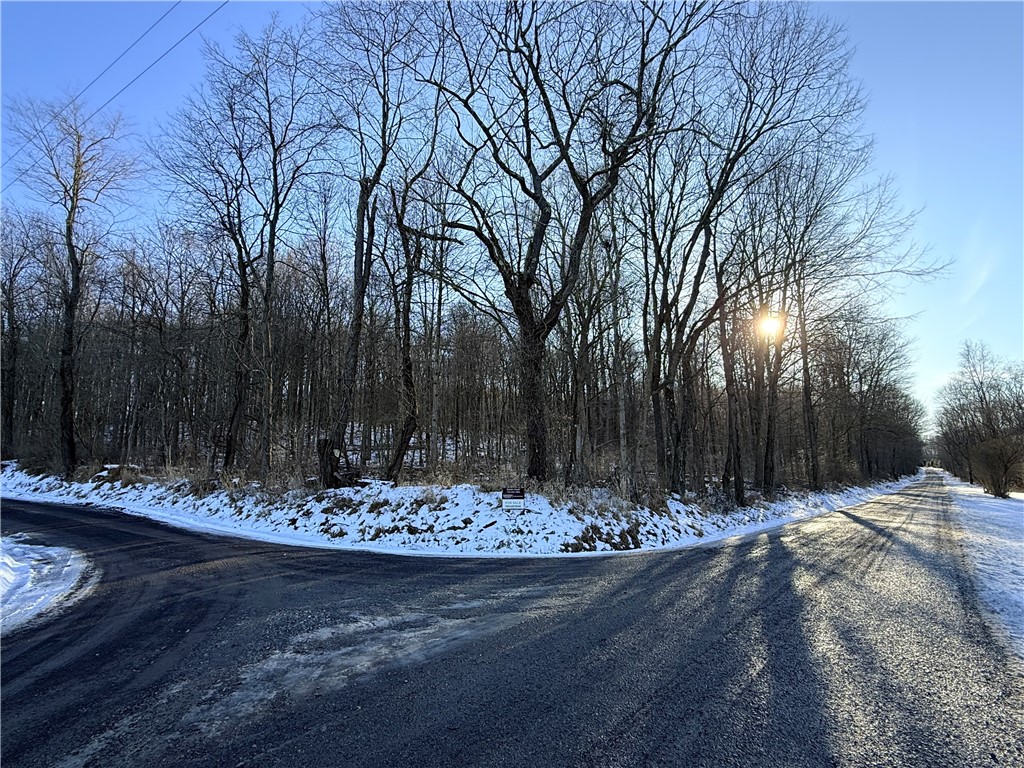 Shelocta, Pennsylvania 15774, United States, ,Residential,Active,257083