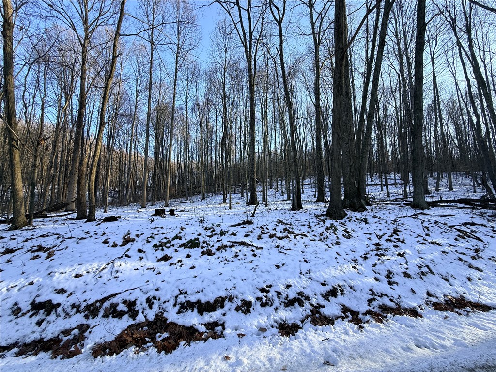 Shelocta, Pennsylvania 15774, United States, ,Residential,Active,257083