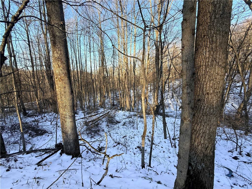 Shelocta, Pennsylvania 15774, United States, ,Residential,Active,257083