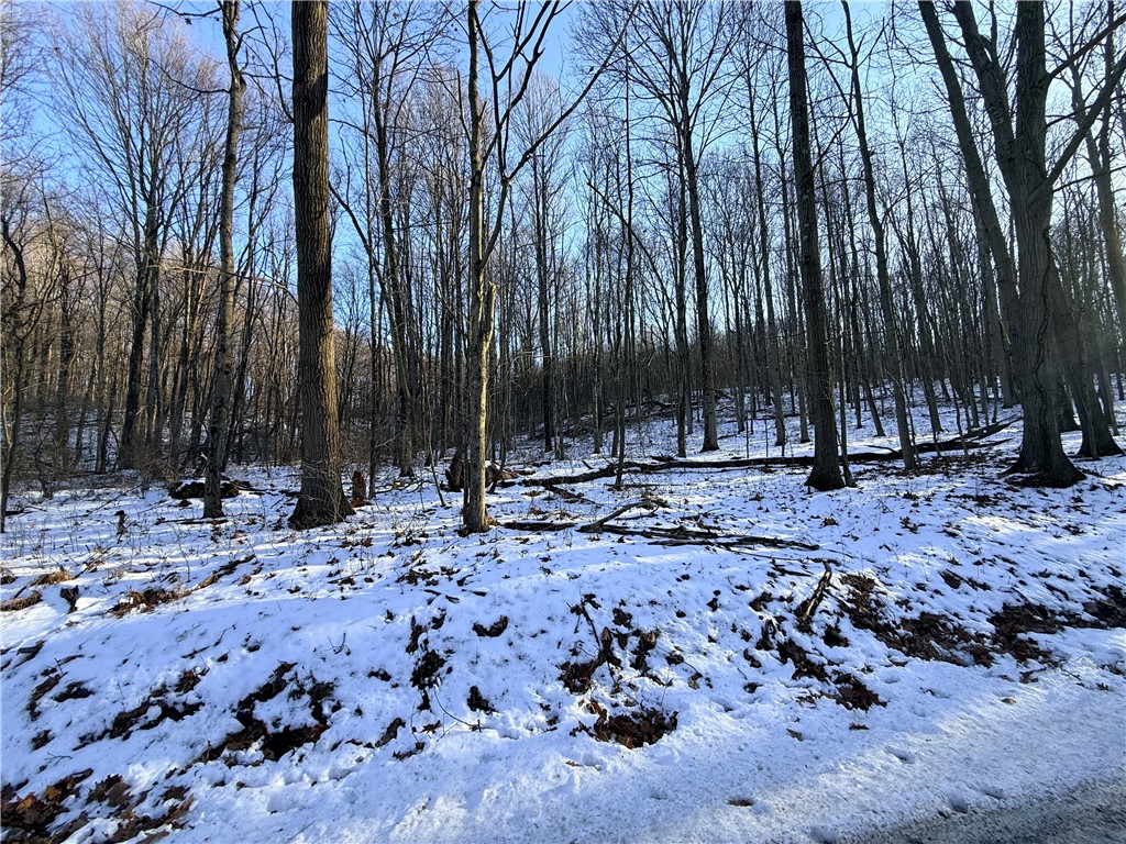 Shelocta, Pennsylvania 15774, United States, ,Residential,Active,257083