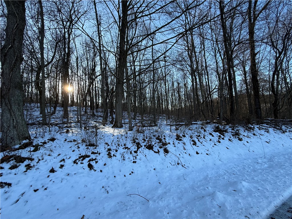 Shelocta, Pennsylvania 15774, United States, ,Residential,Active,257083