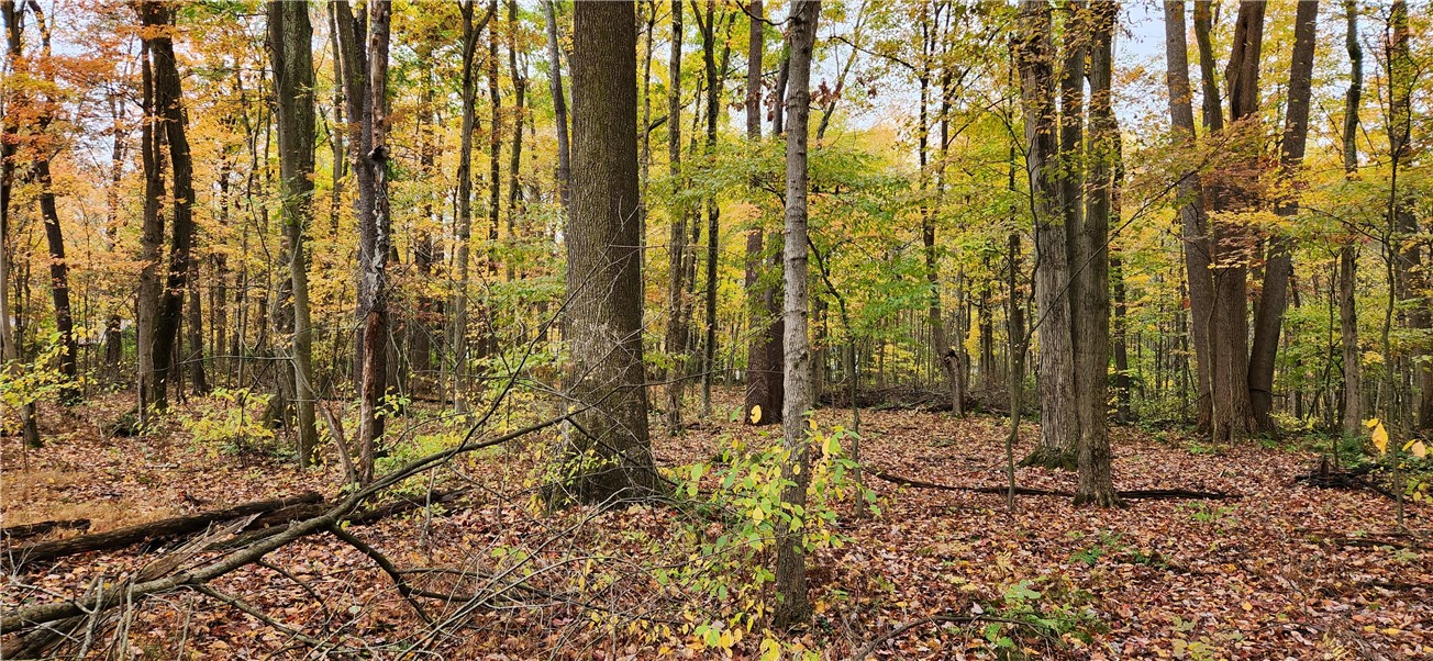 33rd Street, Cook Twp, Pennsylvania image 6