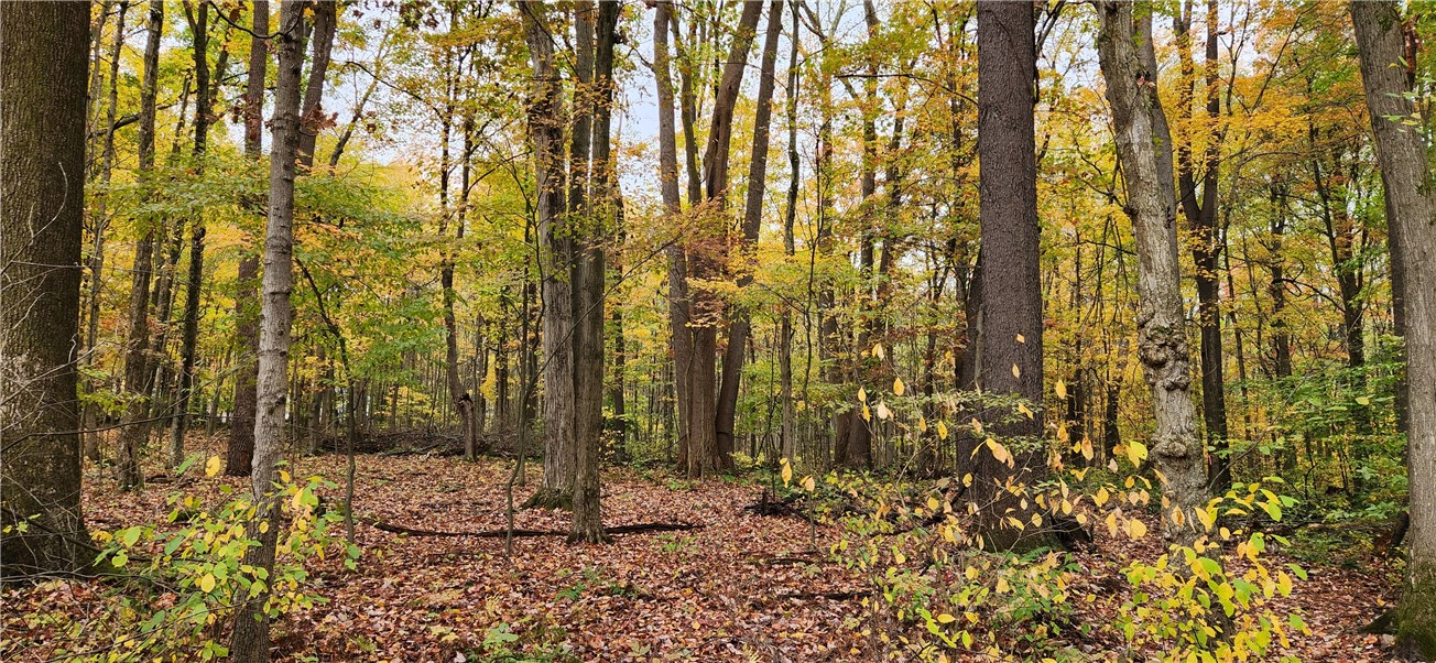 33rd Street, Cook Twp, Pennsylvania image 7
