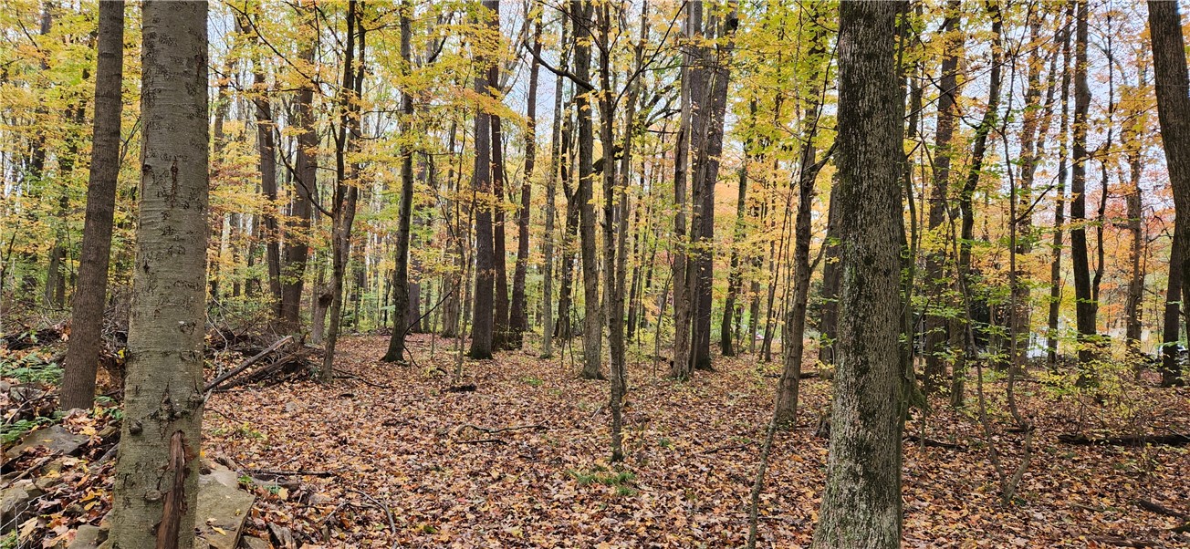 33rd Street, Cook Twp, Pennsylvania image 3
