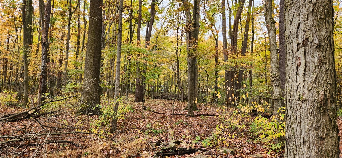 33rd Street, Cook Twp, Pennsylvania image 1