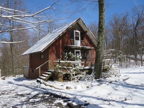 238 Horse Shoe Bend Rd Bullskin Twp PA 15610
