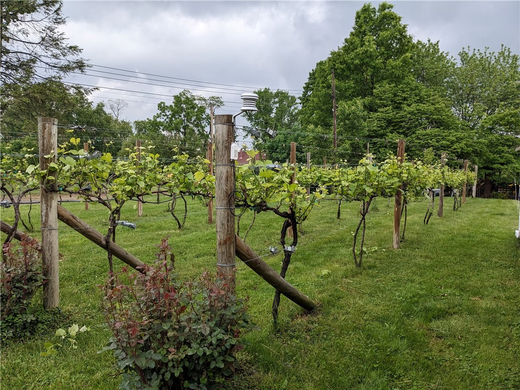 6920 Shannon Rd Rd, Verona, Pennsylvania image 38
