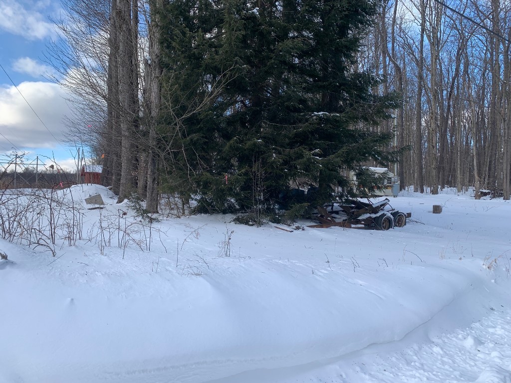 4355 Sackett Rd, Kane, Pennsylvania image 6