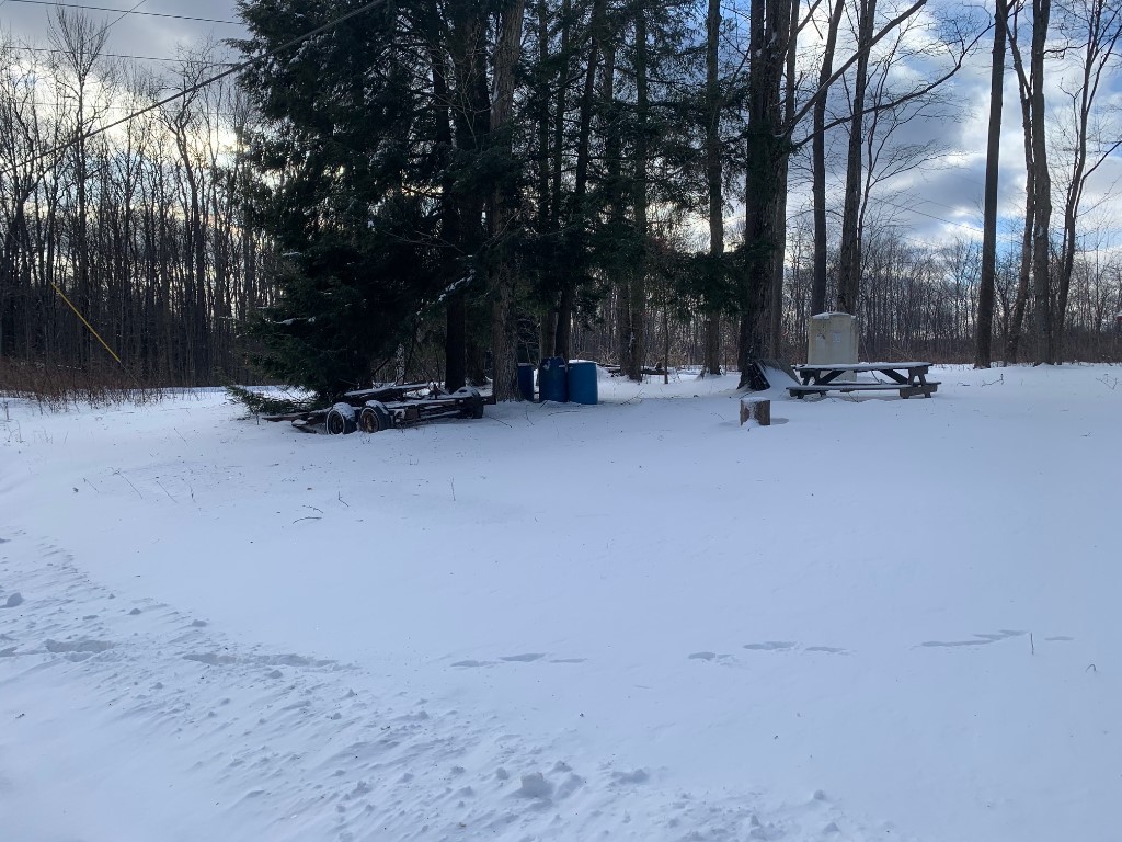 4355 Sackett Rd, Kane, Pennsylvania image 3