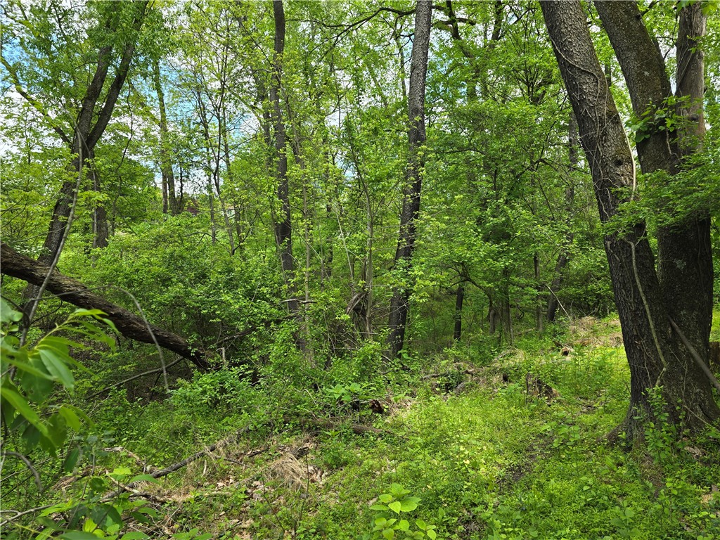 Lot 134 Brokers Lane