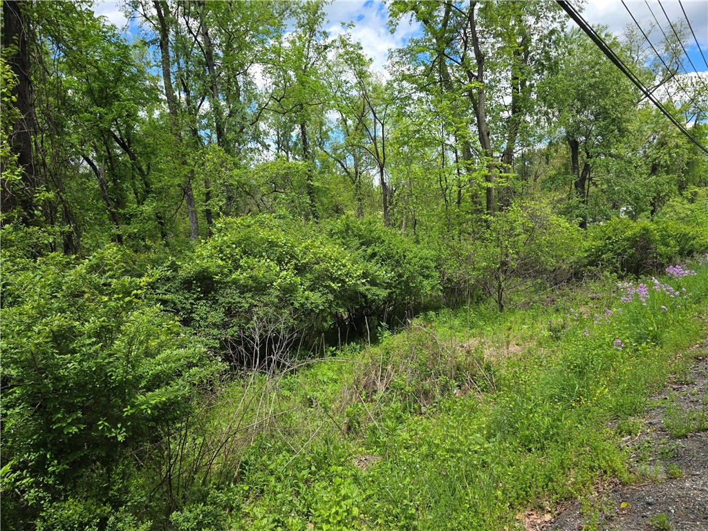 Lot 134 Brokers Lane